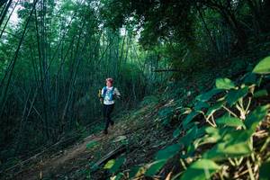 BIB: 
                            <button type="button" onclick="openModal(28124899)" class="btn btn-primary btn-sm float-right btn-popup" data-toggle="modal" data-target=".modal-high-quality">
                        <i class="fas fa-shopping-cart"></i> Add to Cart
                    </button>
                                            <button type="button" onclick="isThisMe(28124899, true)" class="btn btn-success btn-sm float-right btn-popup btn-isme hidden" data-toggle="tooltip" data-placement="bottom" title="นี่คือรูปของคุณใช่ไหม คลิกที่นี่เพื่อเอาเข้าอัลบั้ม">
                        <i class="fas fa-plus"></i> Add to album
                    </button>
                    <button type="button" onclick="isThisMe(28124899, false)" class="btn btn-warning btn-sm float-right btn-popup btn-isnotme hidden">
                        <i class="fas fa-ban"></i> Remove from album
                    </button>